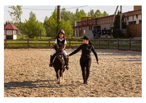 Weighty Business: Horse Riding Training
