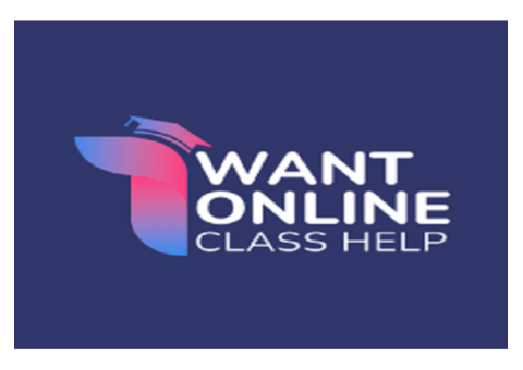 I Want Online Class Help