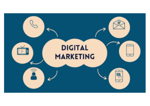 Elevate Your Brand Presence: Digital Marketing Service in Yamunanagar