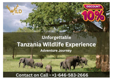 Tanzania Wildlife Journey Experience with  Wildvoyager