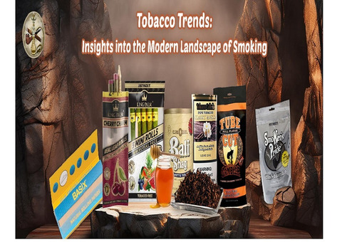 Tobacco Trends: Insights into the Modern Landscape of Smoking