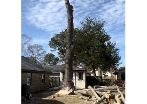 Integrity Tree Specialist, Chesapeake Branch