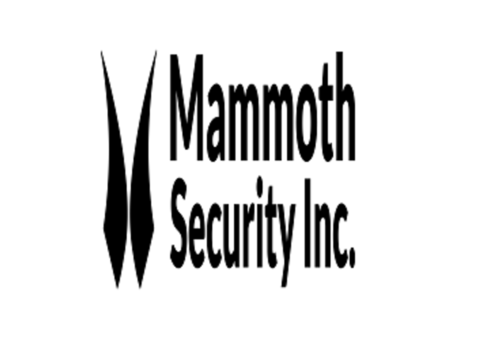 Mammoth Security Inc. Norwalk