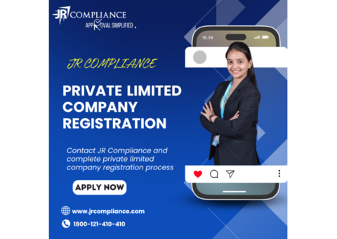 Role of Consultants in Private Limited Company Registration in India