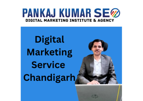 Digital Marketing Service Chandigarh