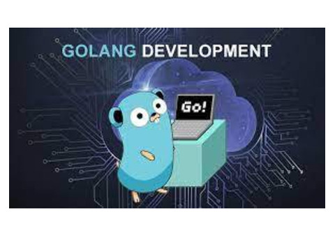 Elevating Excellence with Golang Development Services in Florida