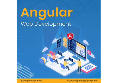 Angular Web Development Agency - Web Panel Solutions