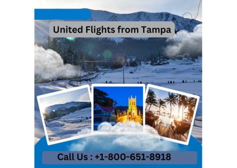 +1-800-651-8918 Discover Affordable United Flights from Tampa