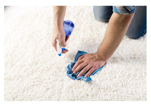 Chiddy’s Home Services | Carpet Cleaning Service in Virginia Beach VA