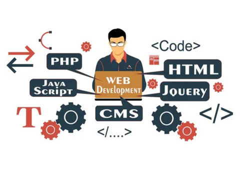 Web Development Company in Delhi with Specialized Services in Dwarka