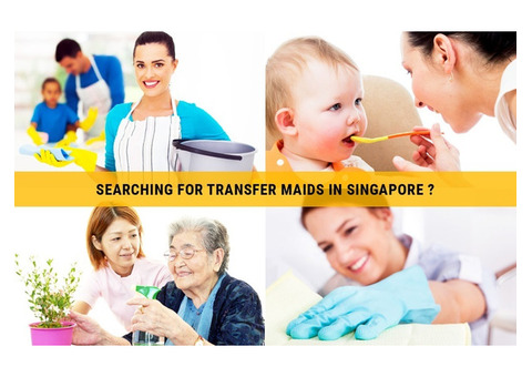 Looking For A Transfer helper in Singapore
