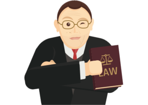 Trust Estate Planning Attorney Lawyer