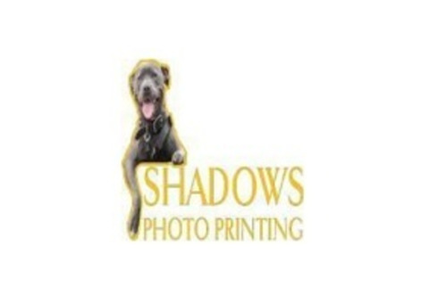 Professional Photo Printing Services in Glenreagh NSW