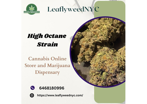 How to Grow and Harvest High Octane Strain