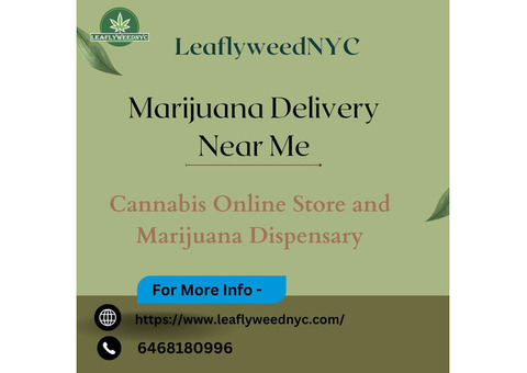 A Beginner's Guide to Convenient Marijuana Delivery Near Me