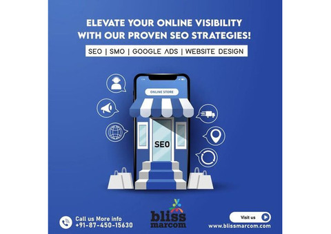 Blissmarcom: Top Digital Marketing Agency in Delhi