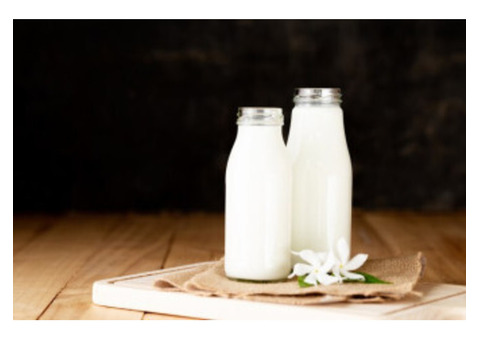 Buy 100% Natural and Fresh Pure Gir Cow Milk in Rajkot