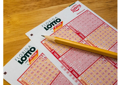 Play Florida Lotto Lottery Online