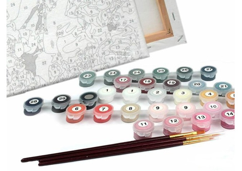 Creative Mastery Made Easy: The Paint by Numbers Kit Experience