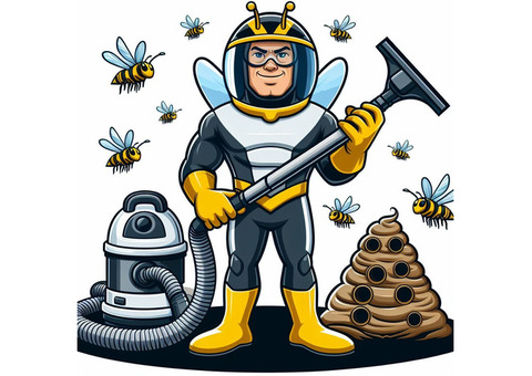 B.B.P.P. Wasp Removal Service King City - Book Free consultation