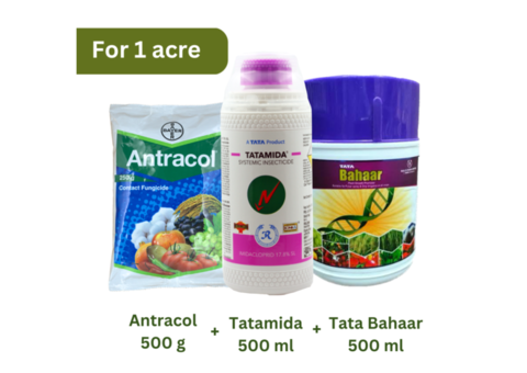 Online Shop for All Agricultural Products