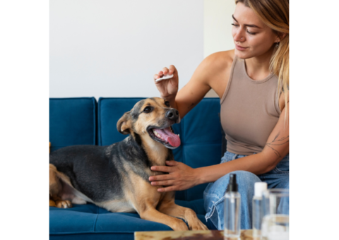 Natural Calming Chews for Dogs