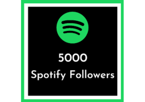 Buy 5000 Spotify Followers Online With Fast Delivery