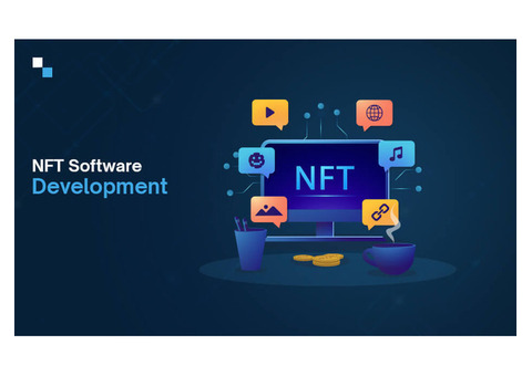 Innovate with Advanced NFT Software Development