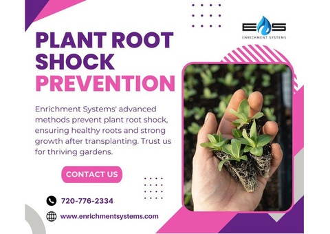Enrichment Systems: Expert Solutions for Plant Root Shock Prevention