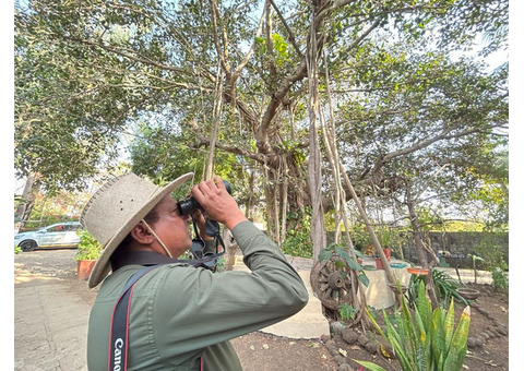 Birdwatching in Gir Forest | Birding Tour Gir National Park