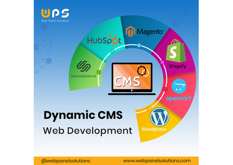 Online Dynamic CMS Web Development Services – Web Panel Solutions
