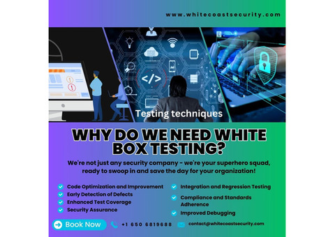 Why Do We Need White Box Testing?