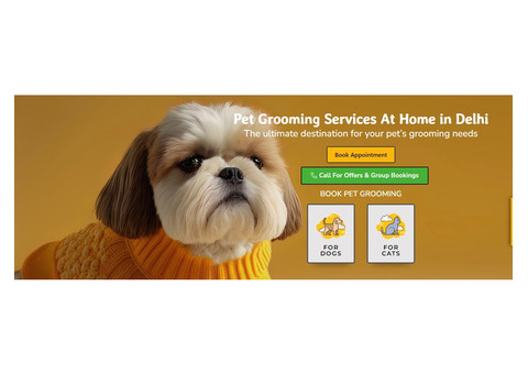 Choose Pet Grooming in Delhi -  OH My Pet Grooming