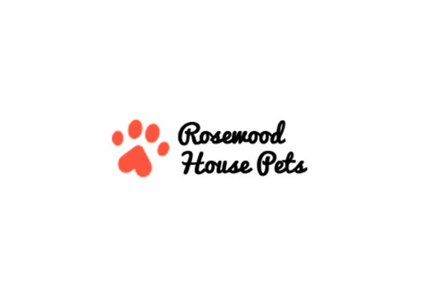 Pet Daycare Manchester