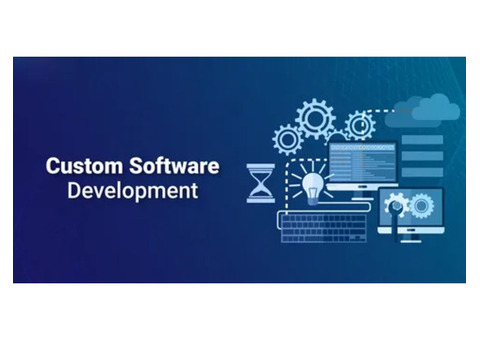 Leading Custom Software Development Company in Dwarka