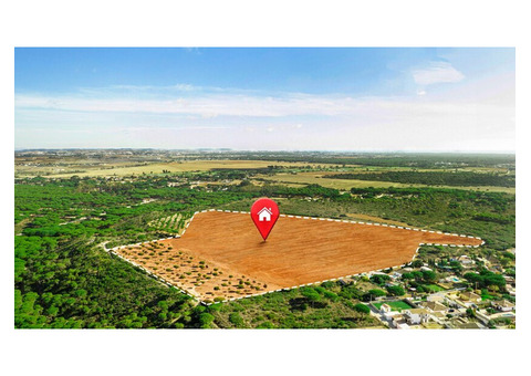 Secure the Perfect Plot with Vastu Advice for Land Purchase