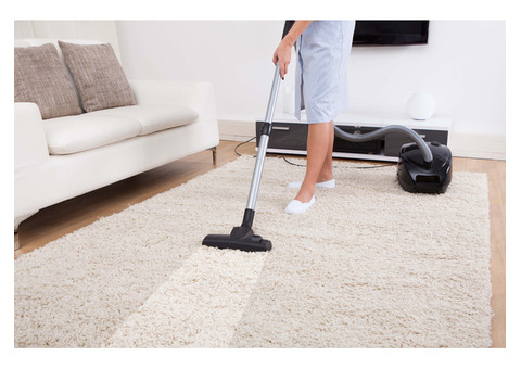 Affordable Carpet Cleaning Services in Redford MI