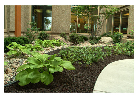 Rubber Landscape Mulch: Revolutionize Your Landscaping Projects