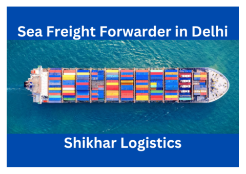 Best Sea Freight Forwarder in Delhi: SHIKHAR Logistics