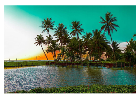 Fulfill Your Cravings for A Kumarakom Trip with Us!