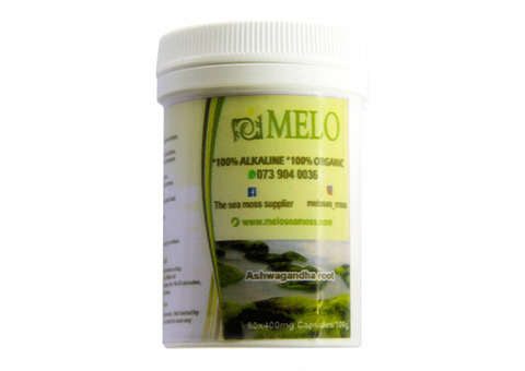 Sea Moss Ashwagandha: All-around Health Improvement with MELO