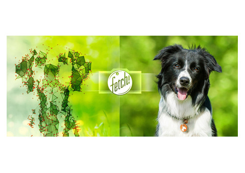 To make shopping more fun, use Fetch.