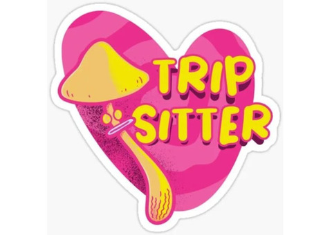 WELCOME TO THE HELLO TRIP SITTERS ONLINE STORE