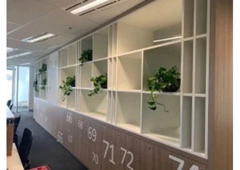 Office Plant Hire in Melbourne: A Guide to Finding the Perfect Fit