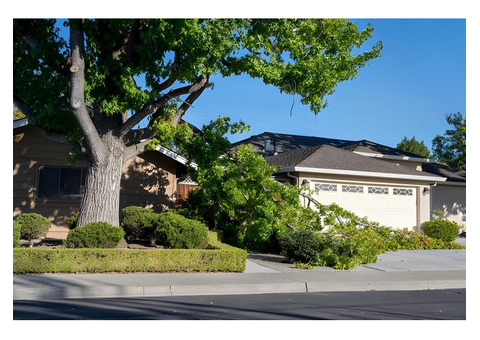 Residential Tree Removal Calgary - Evergreen Ltd