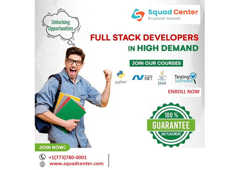 Full Stack Developer Course-Java And Python