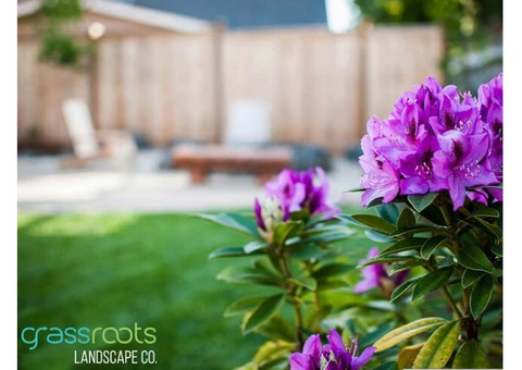 Eugene's Irrigation Specialists: Keeping Lawns Lush & Green