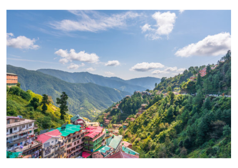 Finally got the chance for the Shimla tour! We've got you