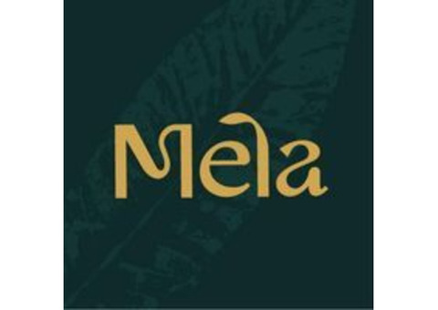 Discover Vegan Leathers Purses at Melas World