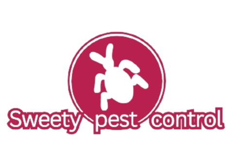 Termite Control Services Near Me